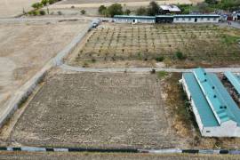 Land For Sale, Kareli