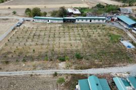 Land For Sale, Kareli