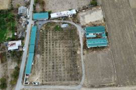 Land For Sale, Kareli