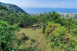 Land For Sale, Gonio