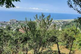 Land For Sale, Gonio