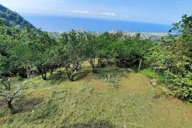 Land For Sale, Gonio