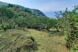 Land For Sale, Gonio