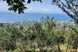 Land For Sale, Gonio