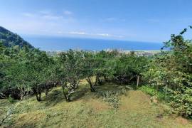 Land For Sale, Gonio