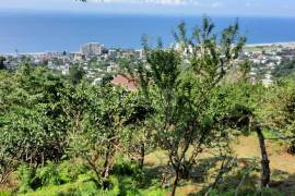 Land For Sale, Gonio