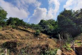 Land For Sale, Gonio