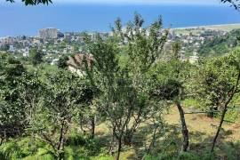 Land For Sale, Gonio