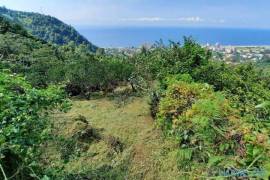 Land For Sale, Gonio