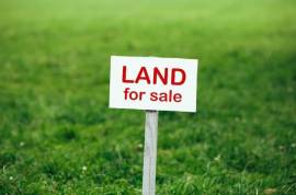 Land For Sale, Tserovani