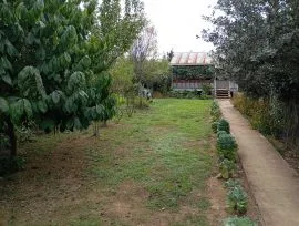 იყიდება სახლი, 5 ოთახიანი, ზუგდიდი, კორცხელი