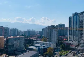 Аренда, 1 Kомнатная, Новостройка, Батуми, Химшиашвили Район