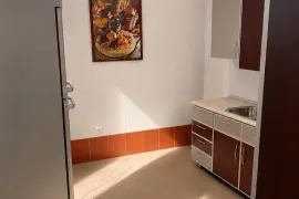 House For Rent, 7 Room, Tbilisi, vake