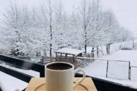 Daily Apartment Rent, 4 Room, Old building, Borjomi , Bakuriani