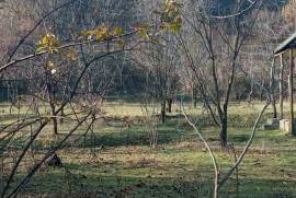 Land For Sale, Agricultural, Dzegvi