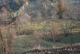 Land For Sale, Dzegvi