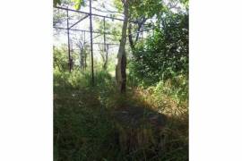 Land For Sale, Asureti 