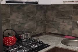 Daily Apartment Rent, 2 Room, New building, Tbilisi, Gldani