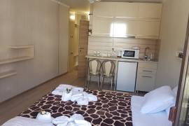 Apartment for sale, 1 Room, New building, Borjomi , Bakuriani