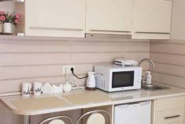 Apartment for sale, 1 Room, New building, Borjomi , Bakuriani