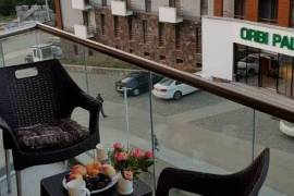 Apartment for sale, 1 Room, New building, Borjomi , Bakuriani