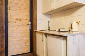 Daily Apartment Rent, 1 Room, New building, Borjomi , Bakuriani