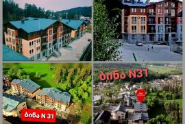 Аренда, 2 Kомнатная, Новостройка, Боржомский район, Бакуриани