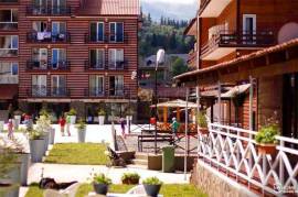 Apartment for sale, 2 Room, Old building, Borjomi , Bakuriani