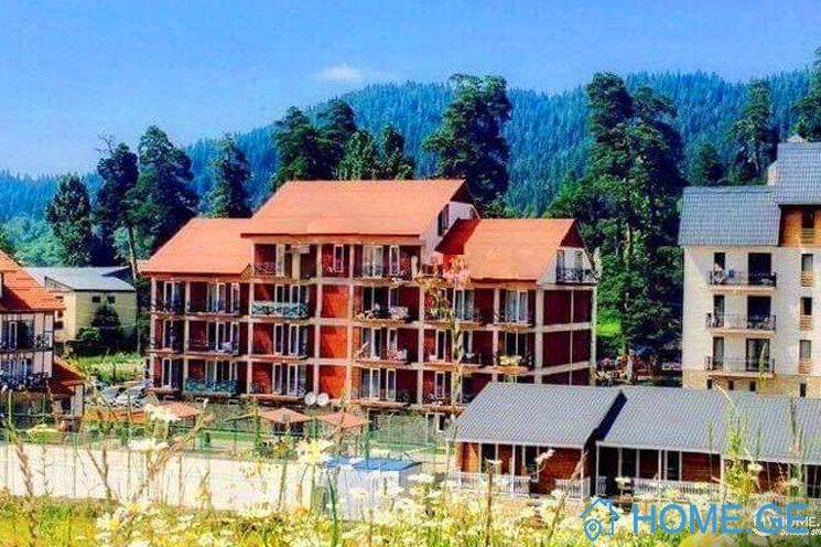 Apartment for sale, 2 Room, Old building, Borjomi , Bakuriani