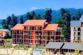 Apartment for sale, 2 Room, Old building, Borjomi , Bakuriani