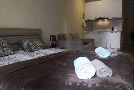 Daily Apartment Rent, 1 Room, New building, Borjomi , Bakuriani