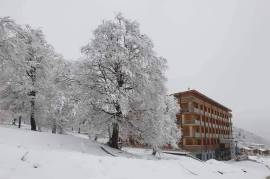 Daily Apartment Rent, 1 Room, New building, Borjomi , Bakuriani