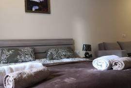Daily Apartment Rent, 1 Room, New building, Borjomi , Bakuriani