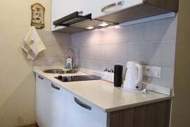 Daily Apartment Rent, 1 Room, New building, Borjomi , Bakuriani