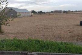 Land For Sale, Gamarjveba 