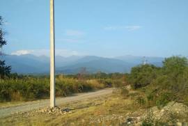 Land For Sale, Tsinandali