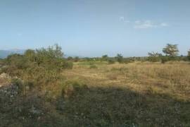 Land For Sale, Tsinandali