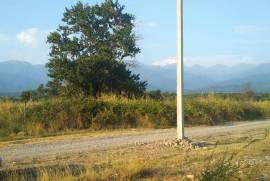 Land For Sale, Tsinandali