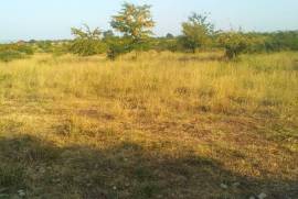 Land For Sale, Tsinandali