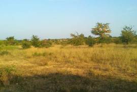 Land For Sale, Tsinandali