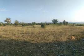 Land For Sale, Tsinandali