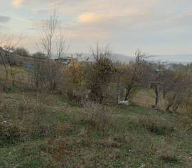 Land For Sale, Samgori