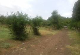 Land For Sale, Samgori