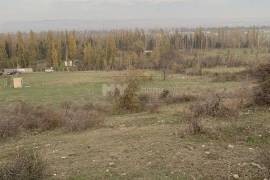 Land For Sale, Samgori