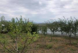 Land For Sale, Agricultural