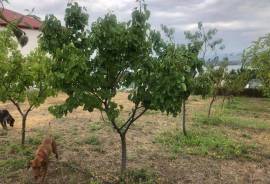 Land For Sale, Agricultural