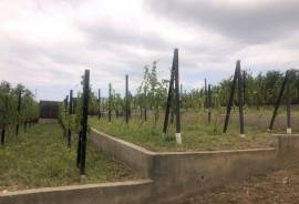 Land For Sale, Agricultural