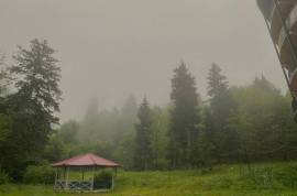 For Rent, 2 Room, New building, Borjomi , Bakuriani