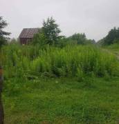 Land For Sale, Shekvetili