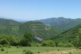 იყიდება მიწის ნაკვეთი, სასოფლო - სამეურნეო, დრე 